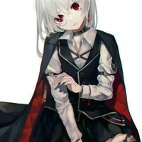 Akira Y/n