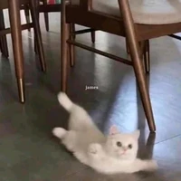 Người chơi hệ đang sợ có bồ ;-;