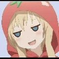 moa moa