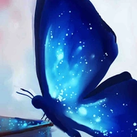 bươm bướm