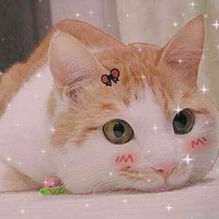 Bé mèo cute tên Sữa