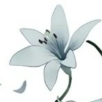người bí ẩn