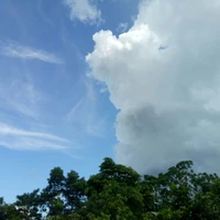 NV tổng hợp nữ