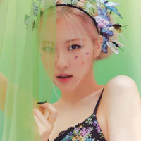 Rosé