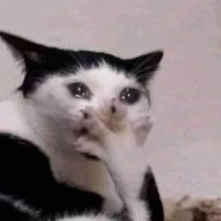 mị là tác giả đêiiii :>>>