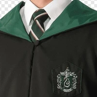 David-Slytherin