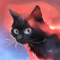 Hắc Mao - Tiểu Mao