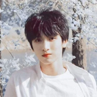 Nghiêm Hạo Tường