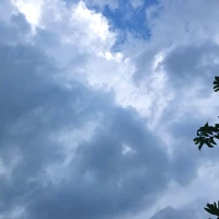 Lão gia và Phu Nhân