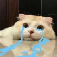 Nhân vật quần chúng đóng nhiều vai.