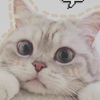 Daisy/ tác giả