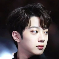Lai Guanlin ( GL )