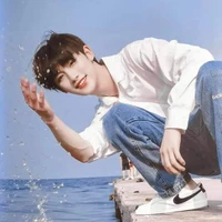 Đinh Trình Hâm