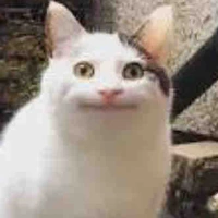 Chụy đại "dỏm"