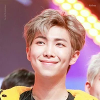 Kim NamJoon ( RM )