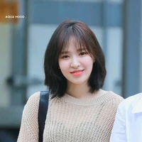 Son Seungwan ( Wendy )