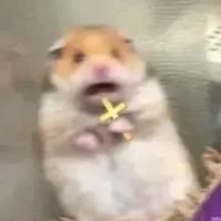 t/g