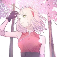 Haruno Sakura