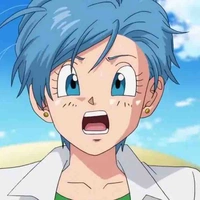 Bulma