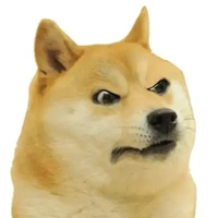 Bé chó hìn lành