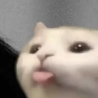 con mắm tác giả 🤯