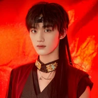 Đại hoàng tử - Đinh Trình Hâm