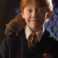 Ron fake 