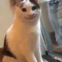 Cô lan bán phở :3