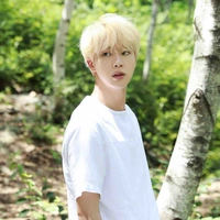 Kim SeokJin