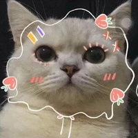 t/g đaeyyy