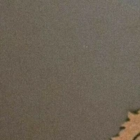 Thành viên của touman