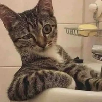 cô năm