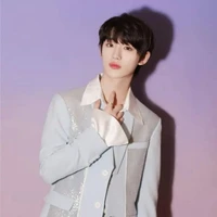 Đinh Trình Hâm (anh)