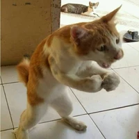 Bẻm