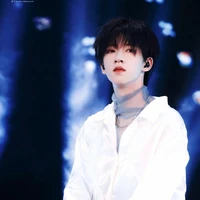 Hạ Tuấn Lâm