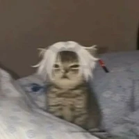 Tác giả ham ăn :>