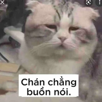 Hệ thống belike :3