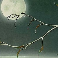 choi naren