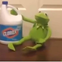 Y/N