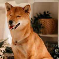 cả lớp