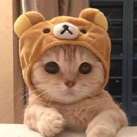 ⫷tác giả cute hột me⫸
