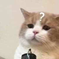 Y/N