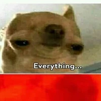 tác giả cute hột cơm