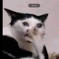 Cả lũ trừ Nam