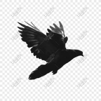 Karasuki /Quạ Misaki/