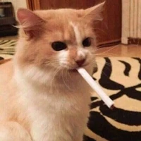 Sesu