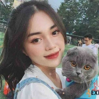 Linh Ngọc Đàm ( Chị Y/N)