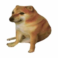 Con chó dệ thươn nhứtttttt xóm 