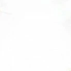 Các vị hoàng tử