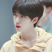 Hạ Tuấn Lâm